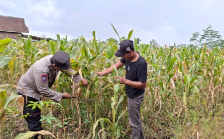 Polres Malang Mantapkan Dukungan Ketahanan Pangan Melalui Pemanfaatan Lahan Produktif